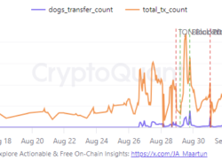 TON Capai Rekor Baru dengan 1 Miliar Transaksi, Dipicu oleh Peluncuran Meme Coin DOGS